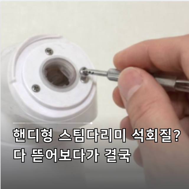핸디형 스팀다리미 쓰다 다 뜯어봤어요.. 물통 세척 안되는거, 저만 찝찝한가요?