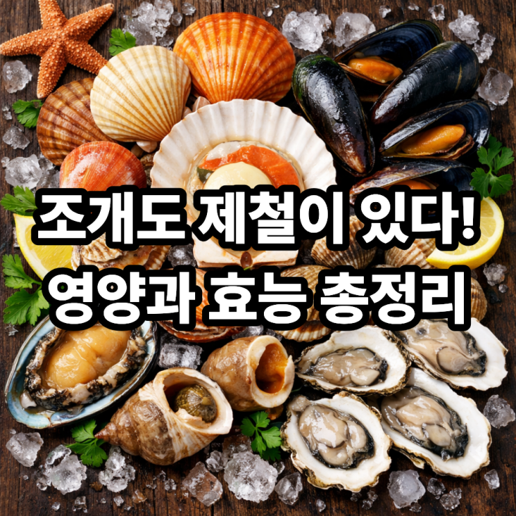   조개류 제철해산물 영양과 효능 정리｜제철에 먹어야 하는 이유