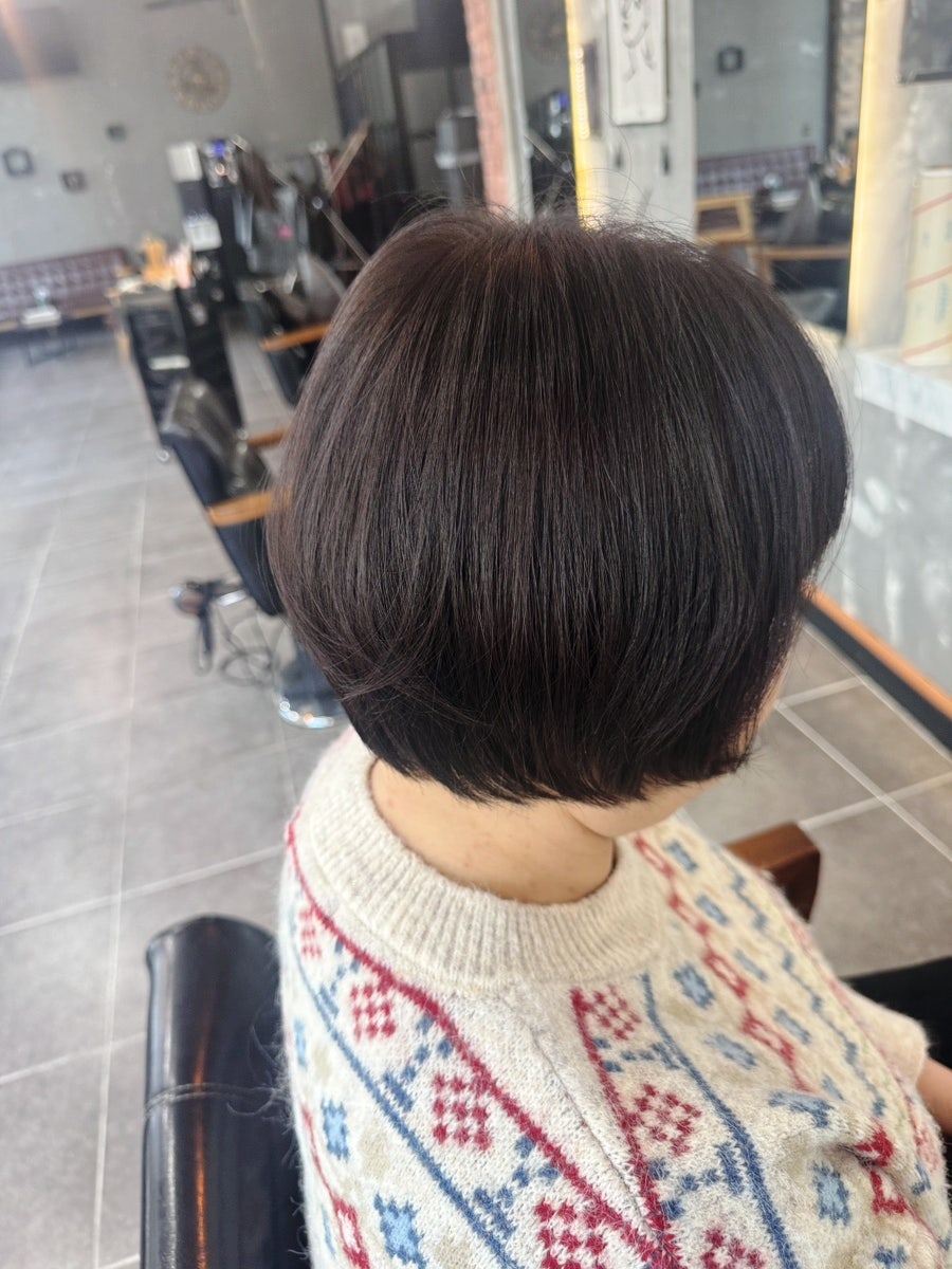 바오헤어 사진 6