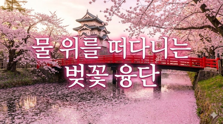  2026 아오모리 벚꽃 여행 코스, 히로사키성 개화시기부터 직항 날씨 총정리