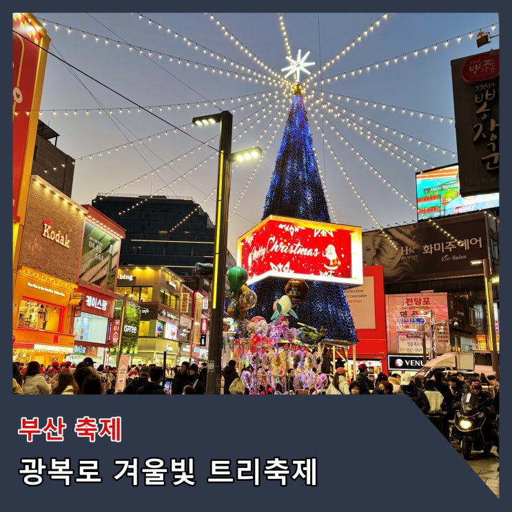  [부산] 부산의 겨울을 밝히는 대표 트리축제 '광복로 겨울빛 트리축제' (26년 2월 22일 까지)