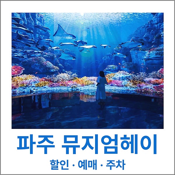 파주 뮤지엄헤이 할인 예매 주차 가이드