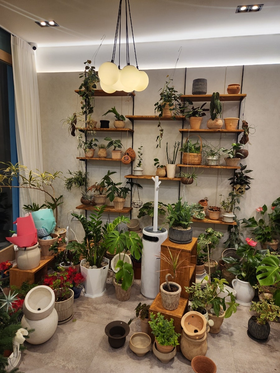플라워 Belzar&garden 사진 3