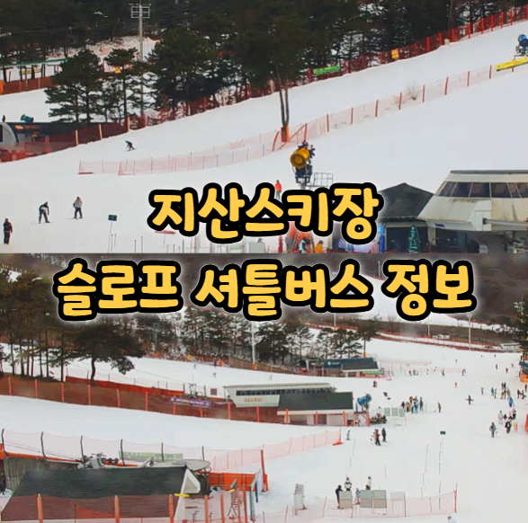  지산스키장 슬로프 시간 셔틀버스 노선 예약 방법