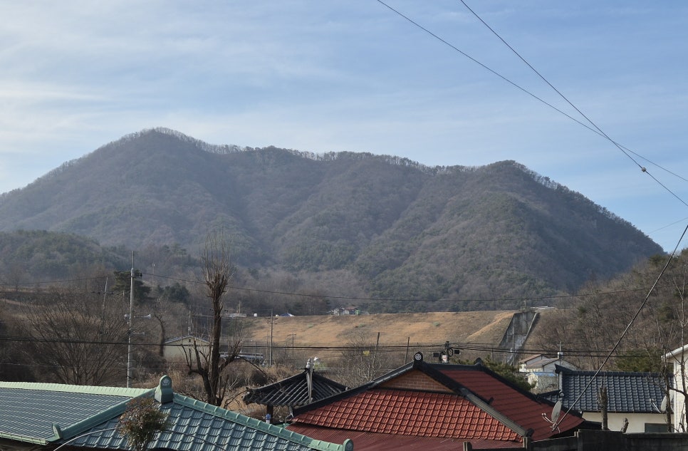 말골 사진 5