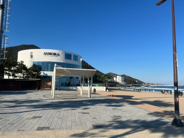  화진해수욕장 드라이브 오션뷰 대형카페 추천 아우로라 카페 후기