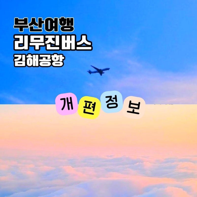 김해공항 리무진 버스 가격 시간 탑승 방법 수화물 캐리어 부산 시내버스 정보