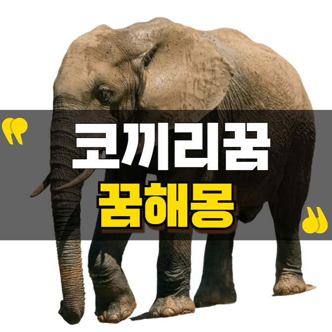 코끼리꿈 해몽, 돈과 관련이 있을까?
