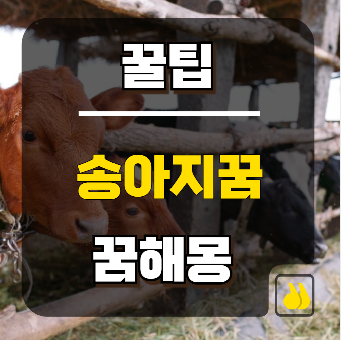 송아지꿈, 재물운과 행운을 상징하는 걸까?