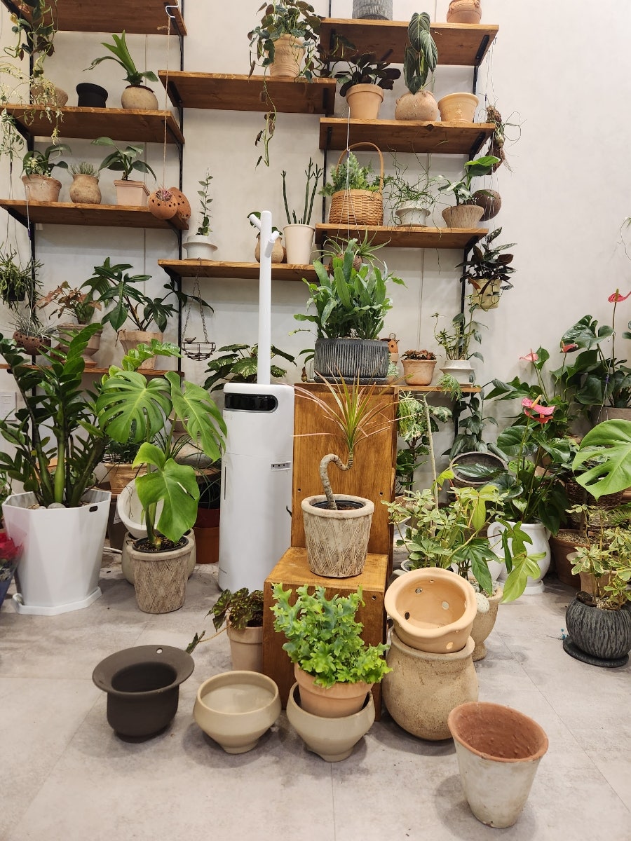 플라워 Belzar&garden 사진 5