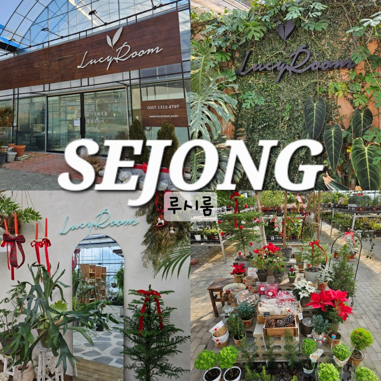  세종 가볼만한곳 루시룸 식물 화분 분갈이 세종시 화원
