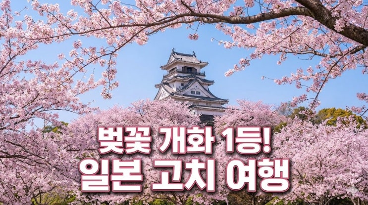  일본 고치 벚꽃 여행 코스 및 지도, 가는 법부터 날씨 환율 가볼만한곳 총정리