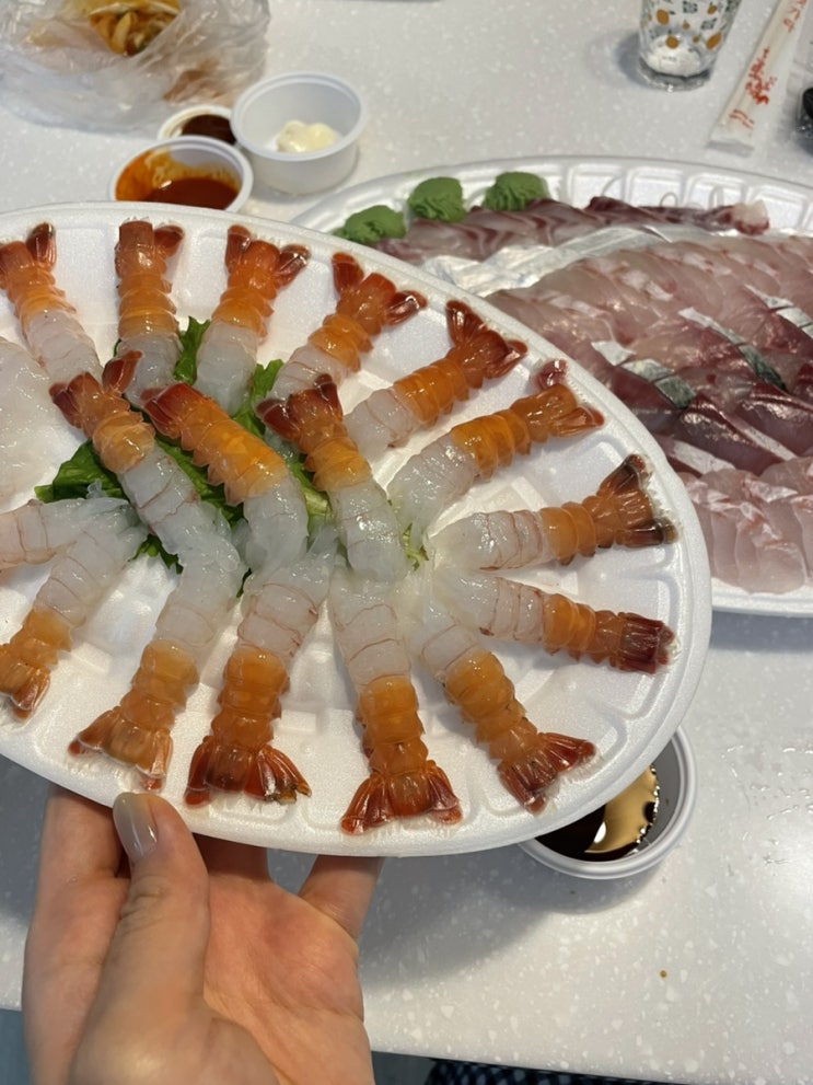  [제주 올레시장] 서귀포 횟집 '드림회센터' 맛집 추천! 갓성비 가성비 횟집