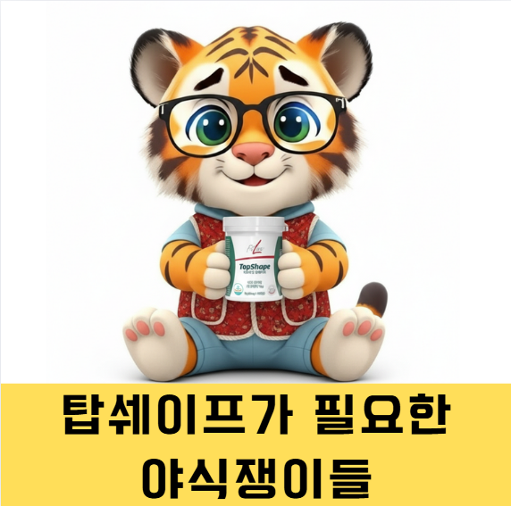  탑쉐이프가 필요한 중장년 야식쟁이들