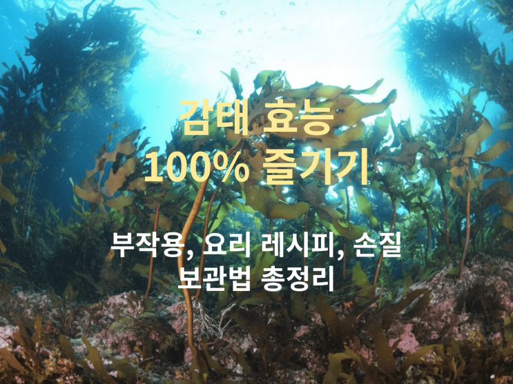  감태 효능 100% 즐기기: 부작용, 요리 레시피, 손질·보관법 총정리