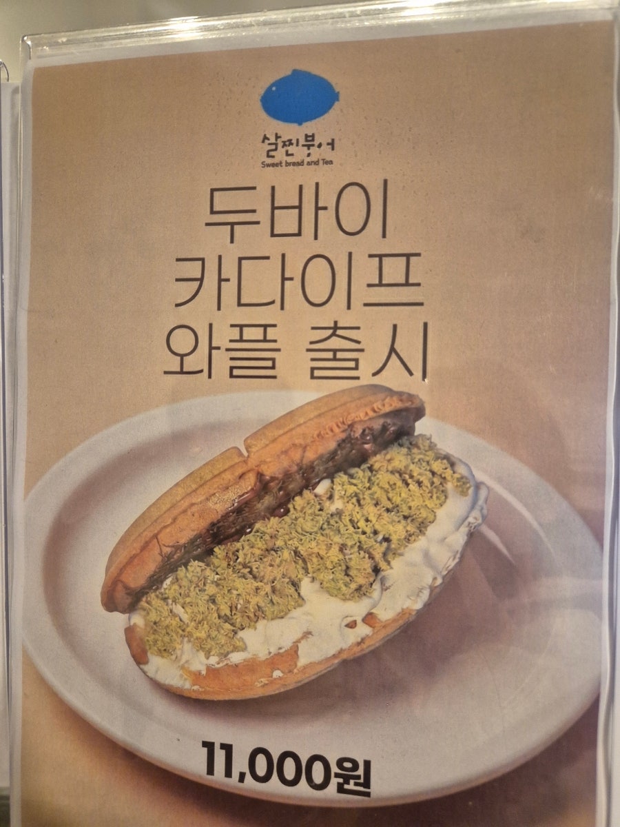 살찐붕어 사진 2