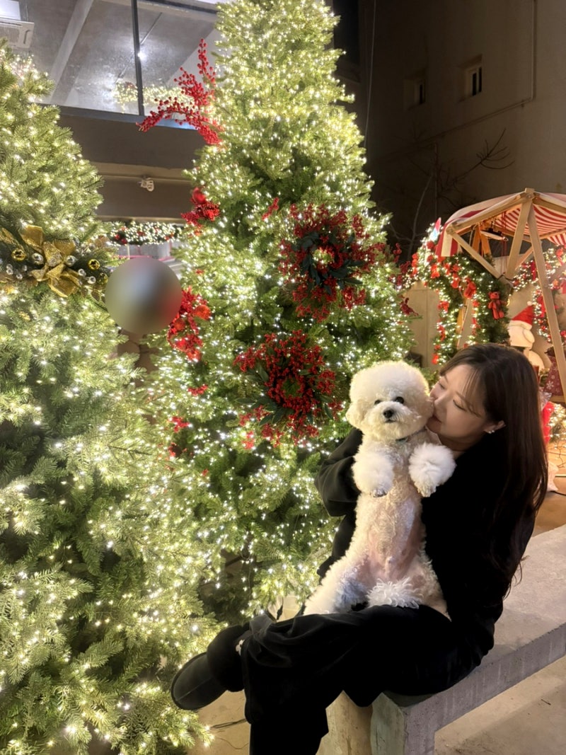 사진 9