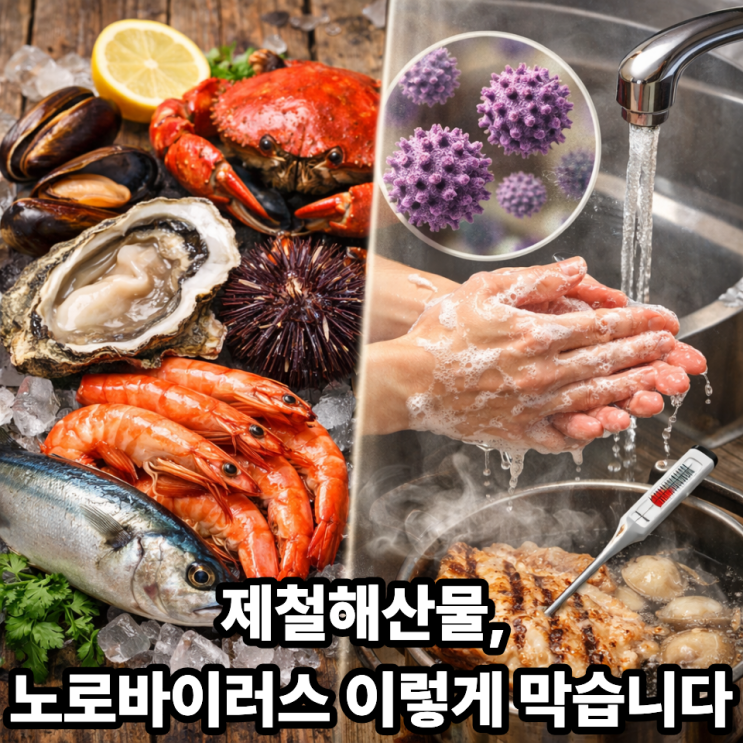   제철해산물과 노로바이러스 예방법｜안전하게 즐기는 기준