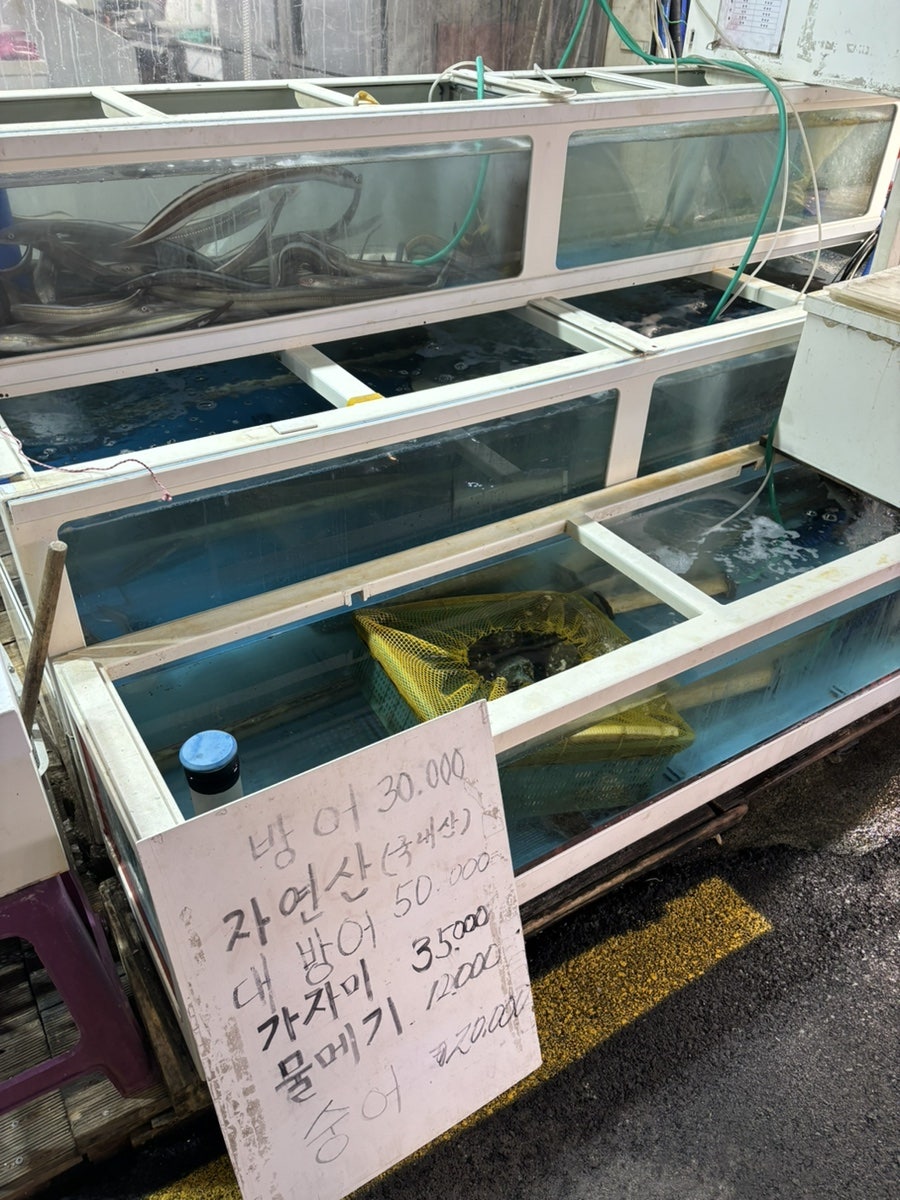 막썰어횟집 사진 3