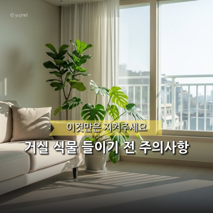  "인테리어 다 망쳤네.." 거실 식물 둘 때 이 기준 모르면 후회합니다