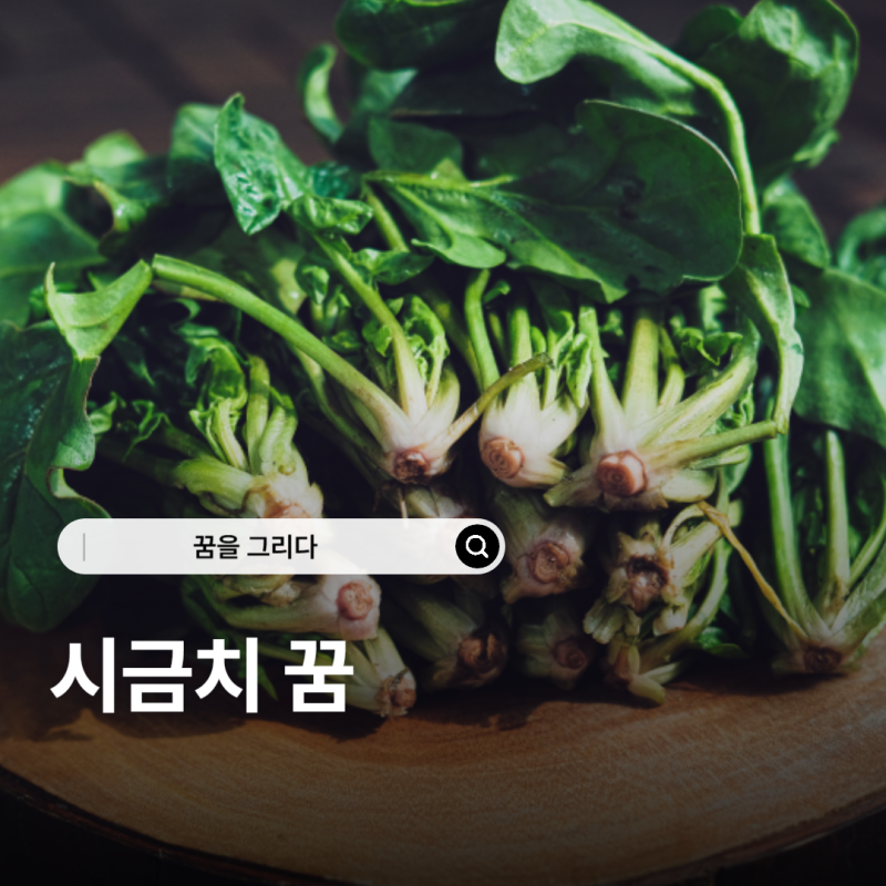 시금치 꿈 해몽 총정리 50가지 파릇파릇한 행운