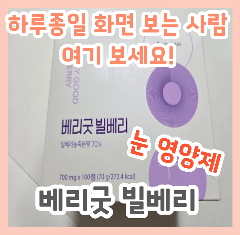 하루 종일 화면 보는 사람 필수! 베리굿 빌베리 눈 영양제 후기