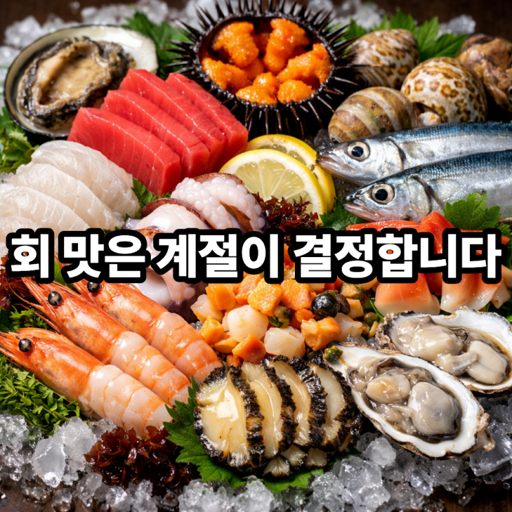  회로 먹기 좋은 제철해산물 시기｜계절별로 달라지는 최고의 맛