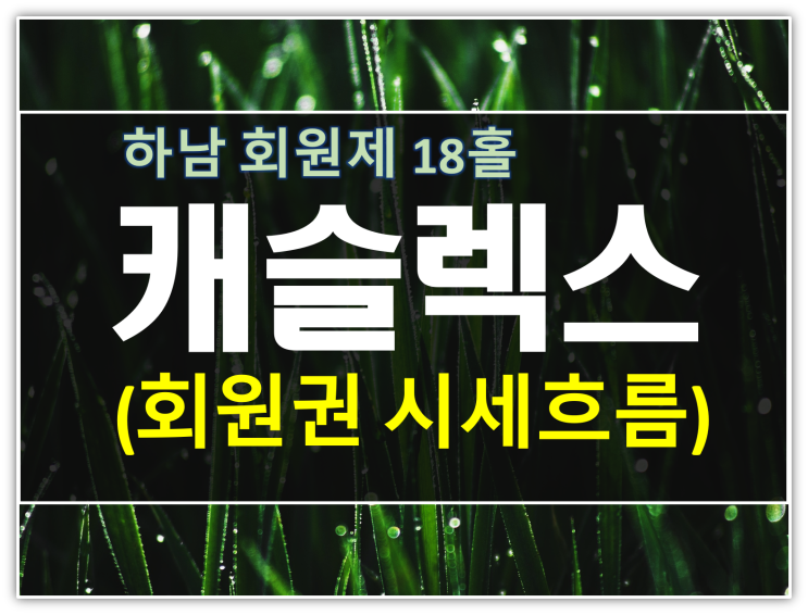  하남 캐슬렉스서울 회원권 시세 및 소장가치 분석