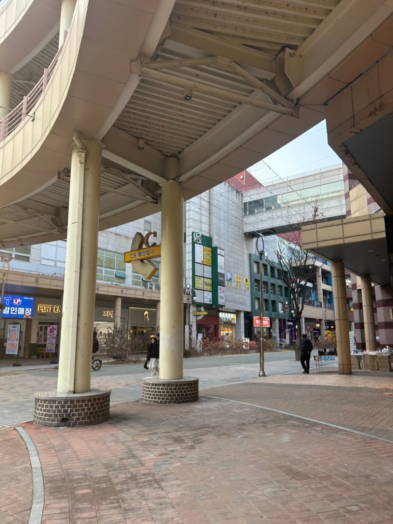 사진 3