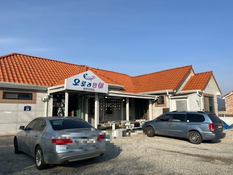 오로라연어 사진 1