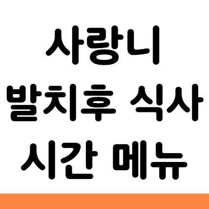  사랑니 발치후 식사 시간 메뉴 음식