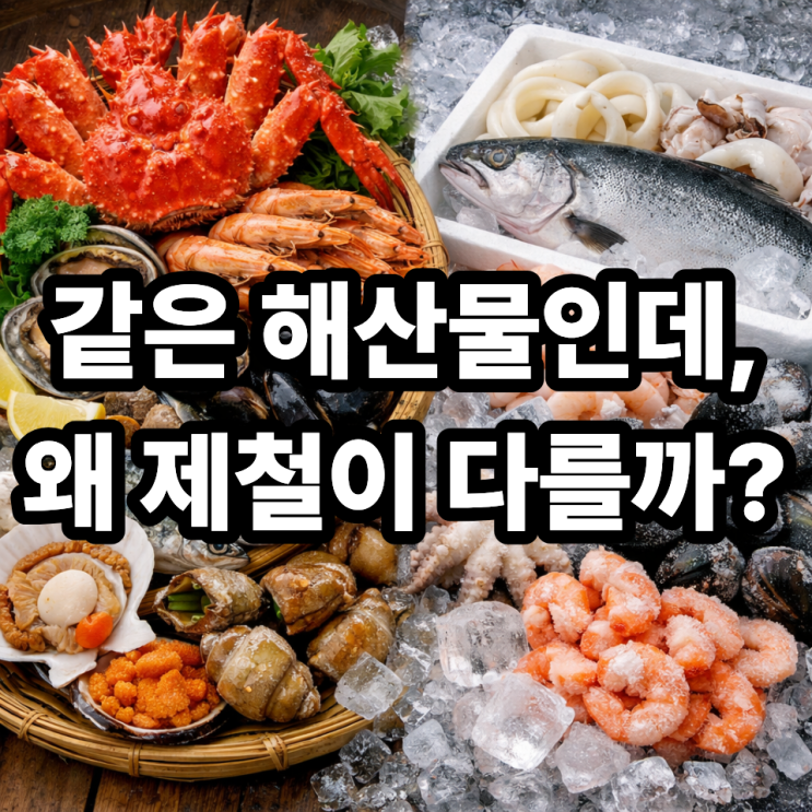   제철해산물이 수입 해산물보다 좋은 이유｜건강·맛·가격까지 달라집니다