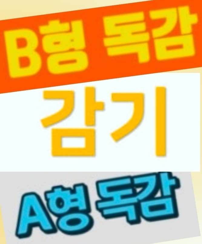  독감 A형 B형 차이점 총정리! 감기와 구분법까지 완벽 가이드 