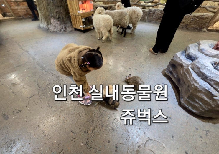  인천실내동물원 쥬벅스 먹이체험 아이랑 방문 후기 요금 주차정보
