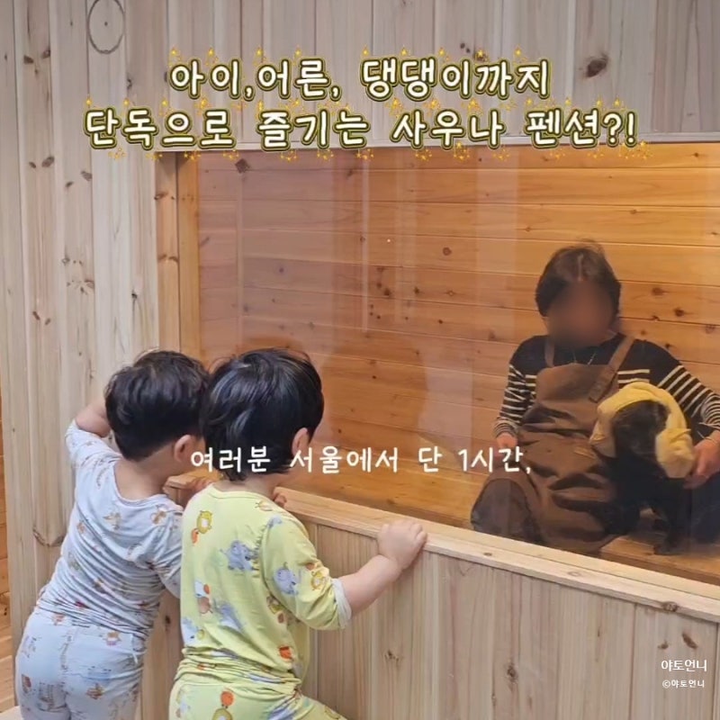 사진 3