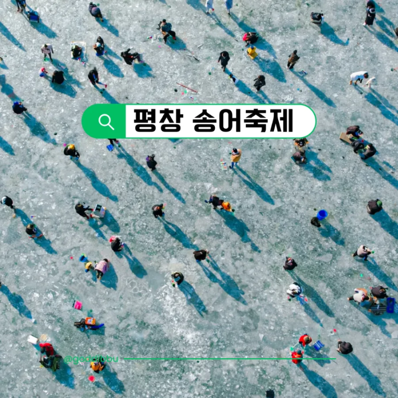 평창 송어축제 2026 기본정보 텐트 예약 요금 포켓몬고 이벤트
