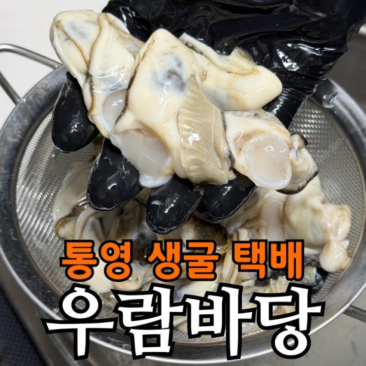  통영 굴 신선 배송 후기｜우람바당 당일 경매 생굴, 김장·요리용 활용 정리