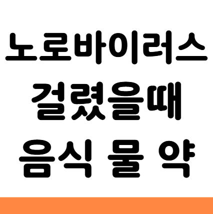  노로바이러스 걸렸을때 음식 과일 물 약