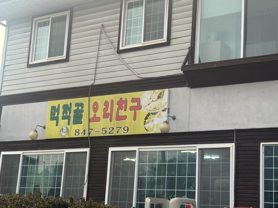 먹적골오리친구 사진 1
