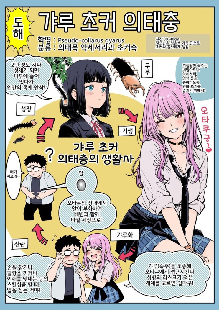  갸루 초커 의태충 .manhwa