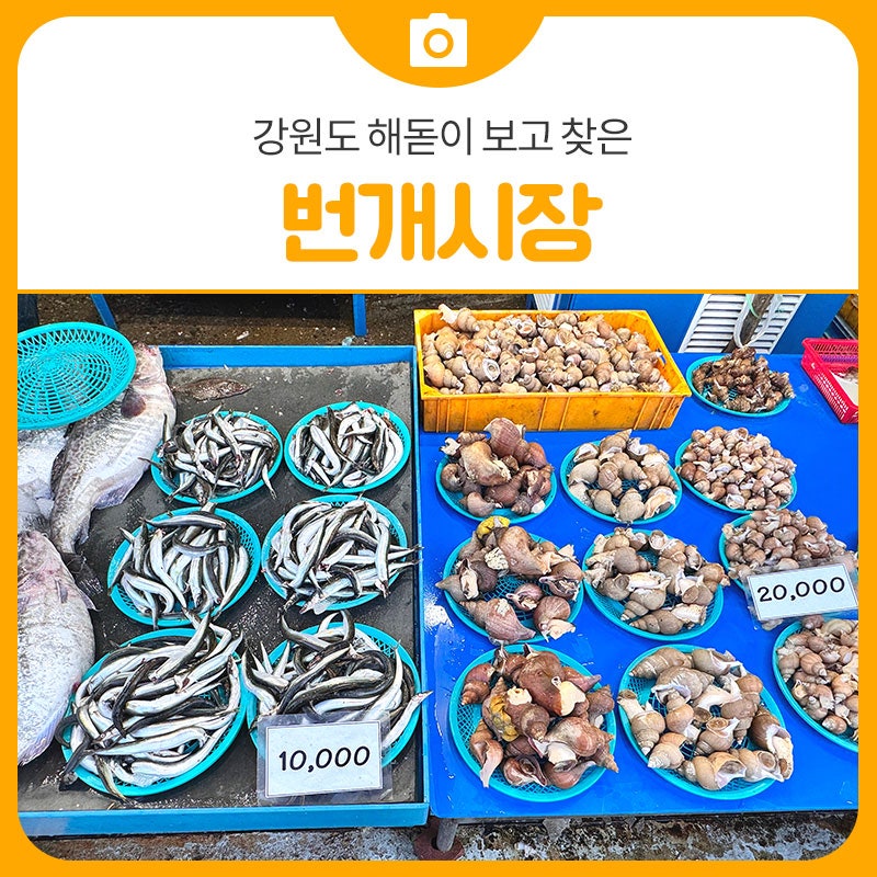 강원도 해돋이 보고 찾은 삼척 번개시장 | 삼척 가볼만한곳
