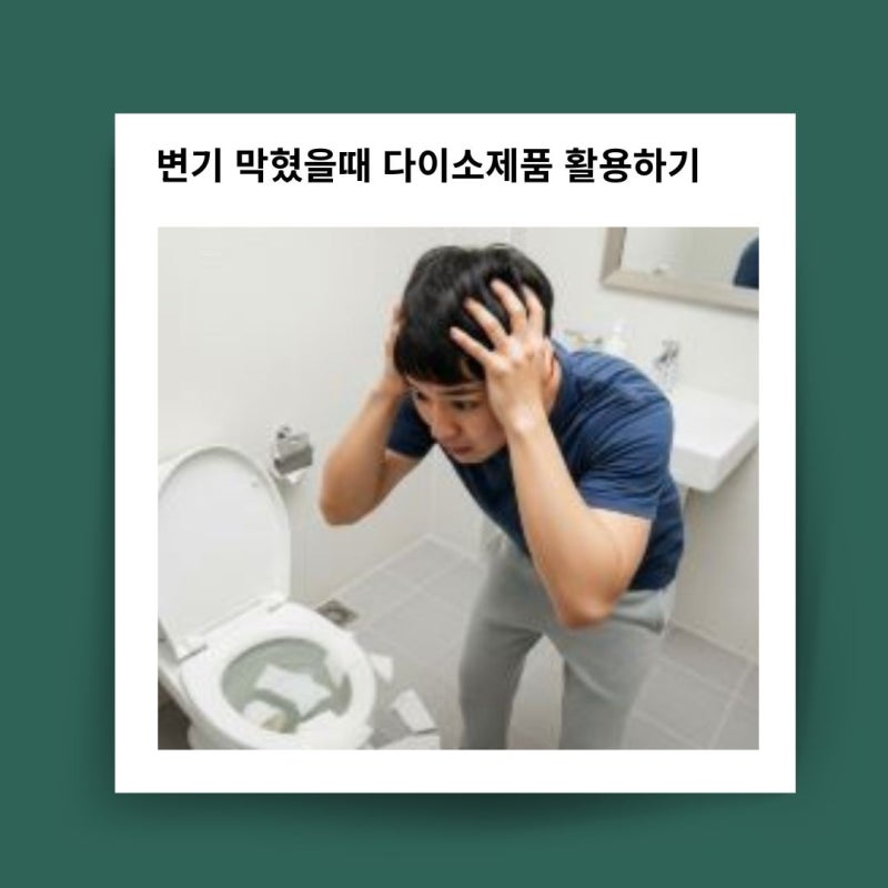 빠르게 변기 막혔을때 다이소 제품 활용법