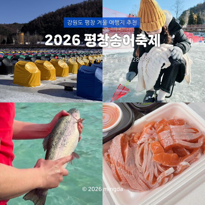 강원도 평창 가볼만한 곳 '2026 평창송어축제' 겨울 여행지 추천 + 2025 경험담 (준비물, 입장료,....