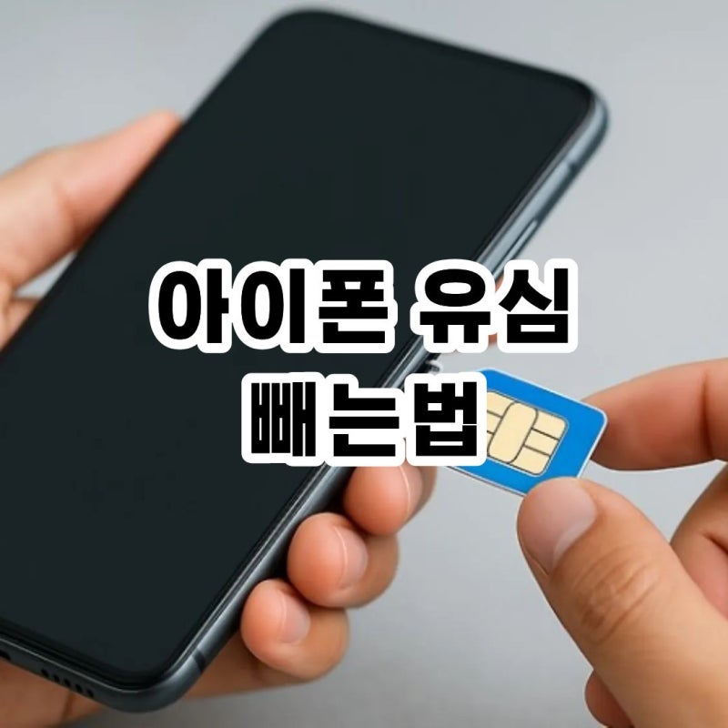 아이폰 유심 빼는법 핀 없을 때 집에 있는 물건으로 해결