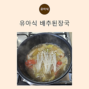 아기 유아식 배추 된장국 레시피