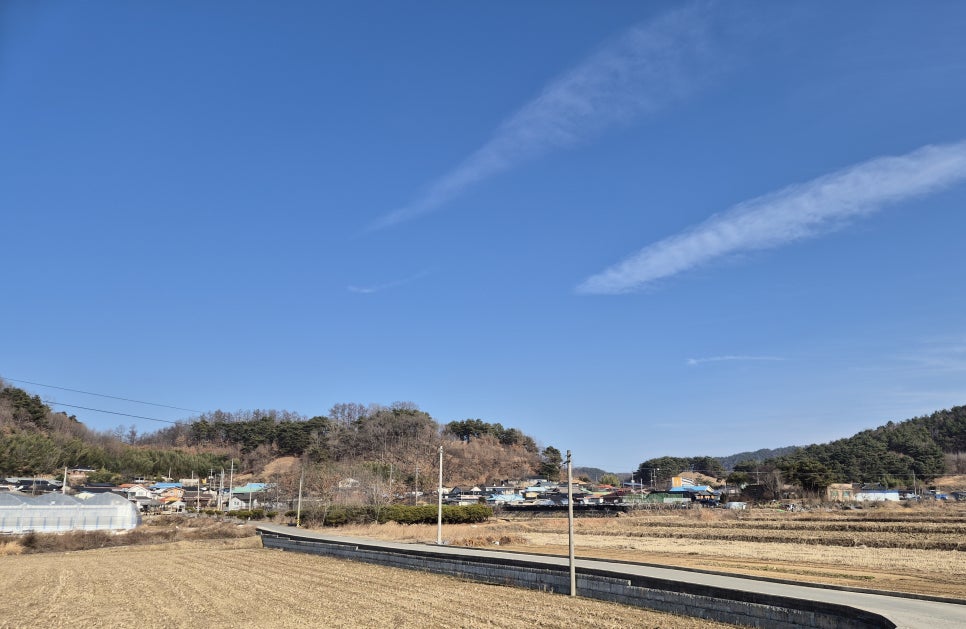 말골 사진 4
