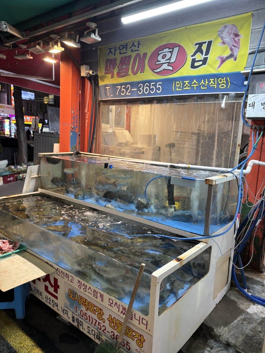 막썰어횟집 사진 2