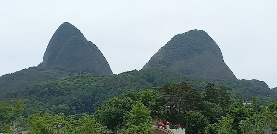 말골 사진 1
