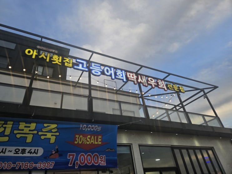  성산일출봉 가성비 맛집 고갈딱 회포장 추천 아시횟집