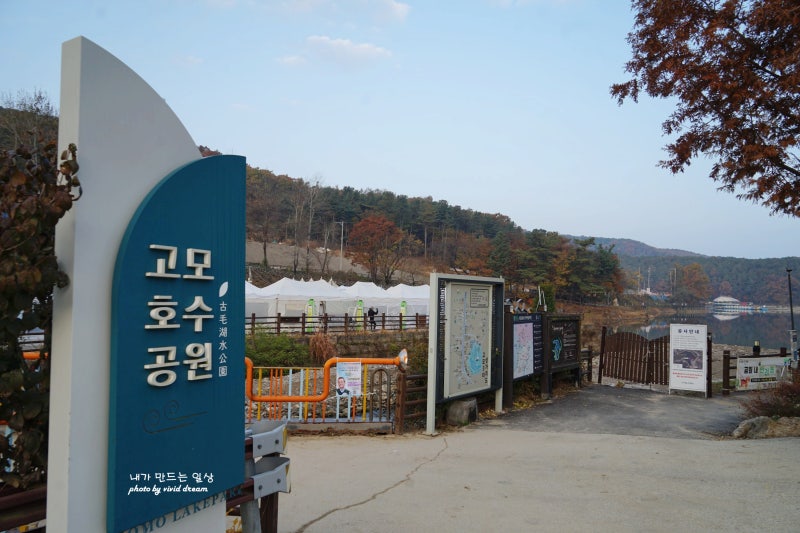 사진 9
